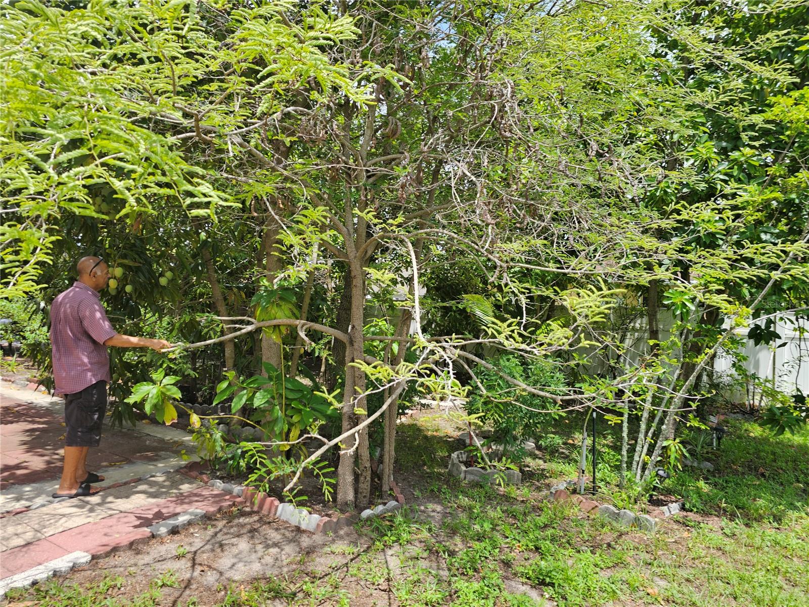 Image 37 of 47 For 4455 Cherry Branch Court