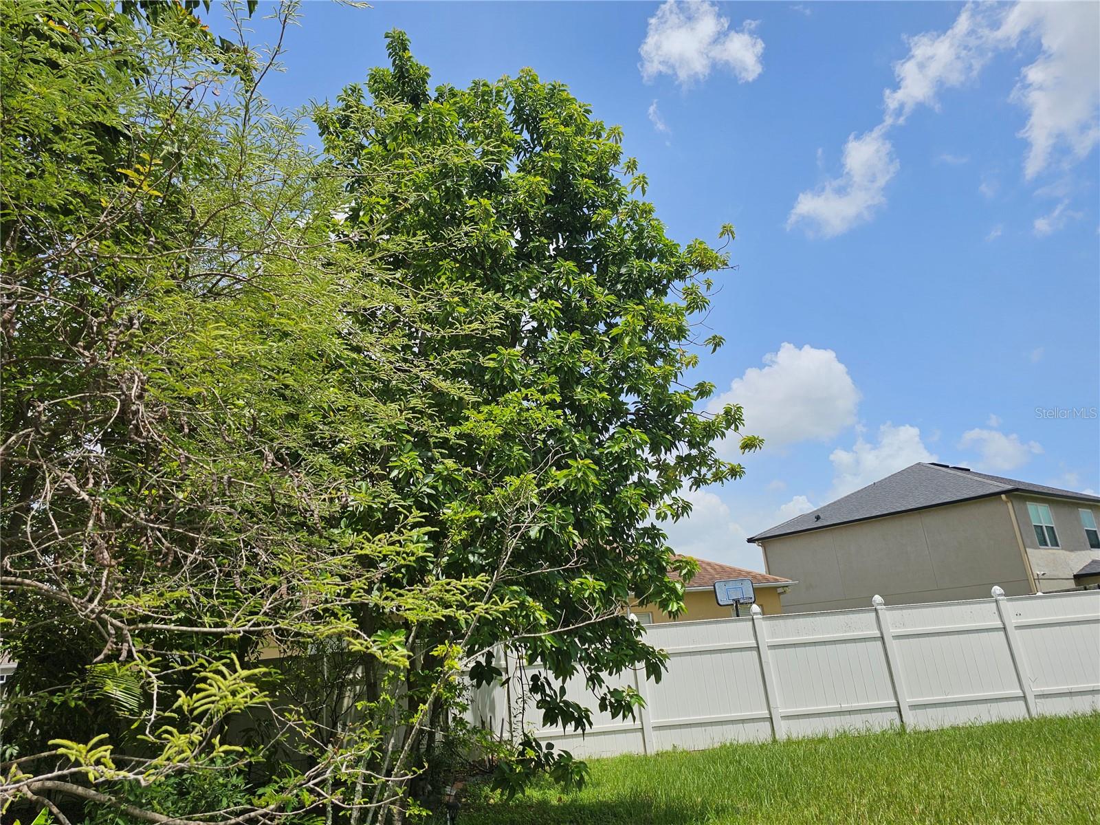 Image 40 of 47 For 4455 Cherry Branch Court