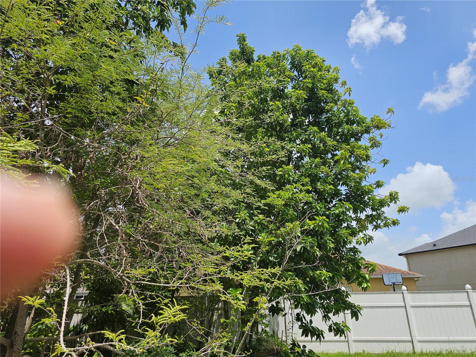 Image 47 of 47 For 4455 Cherry Branch Court