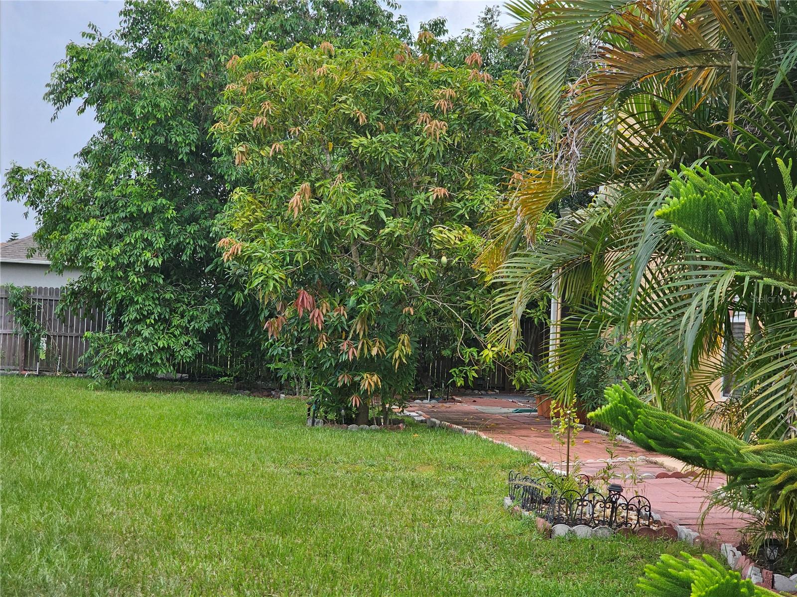 Image 6 of 47 For 4455 Cherry Branch Court