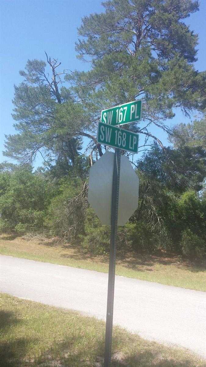 Details for Sw 168 Loop Loop, OCALA, FL 34473