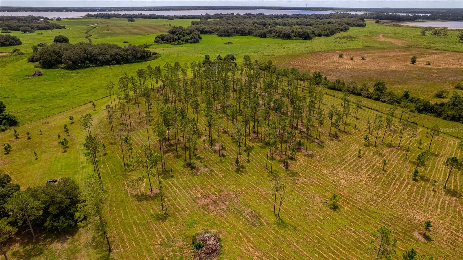 Image 7 of 37 For 2360 Live Oak Lake Rd