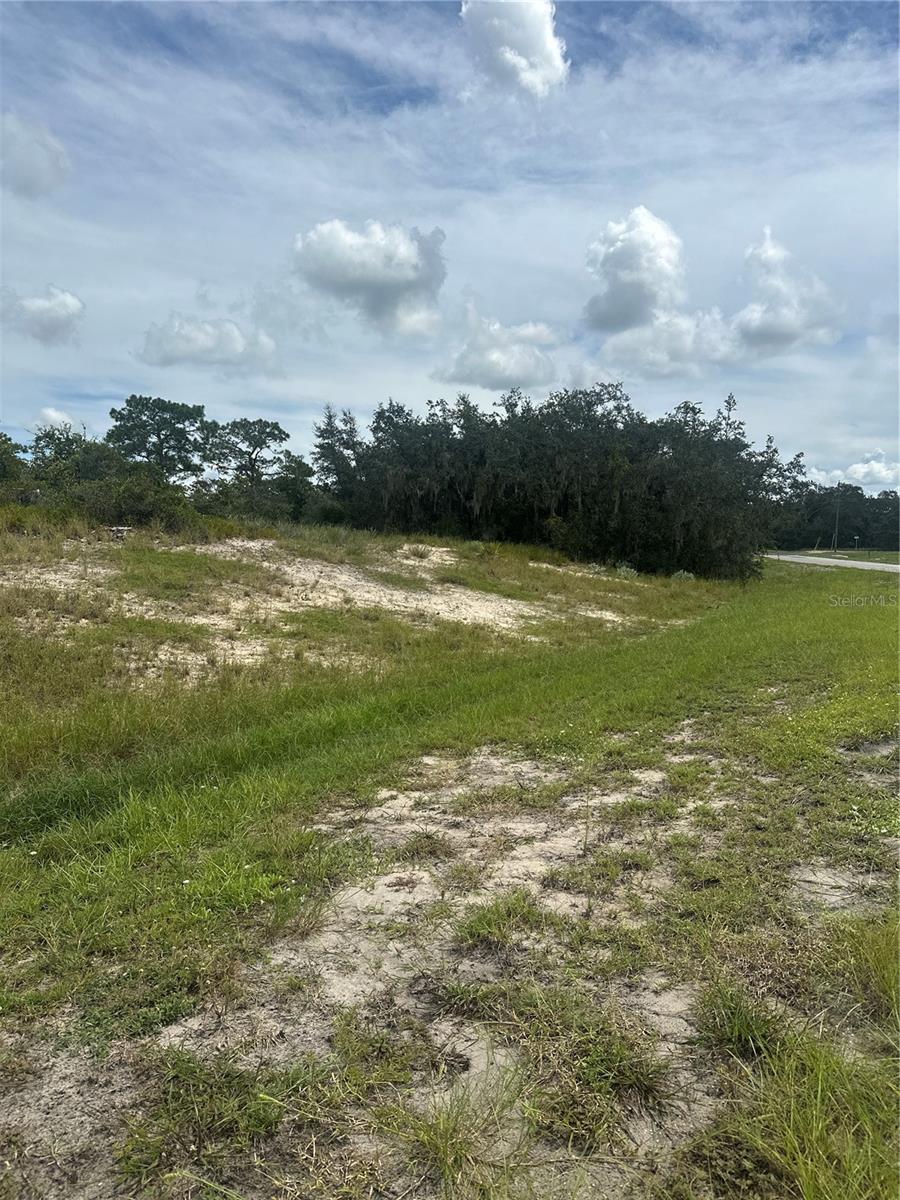 Image 4 of 5 For 1348 Homosassa Court