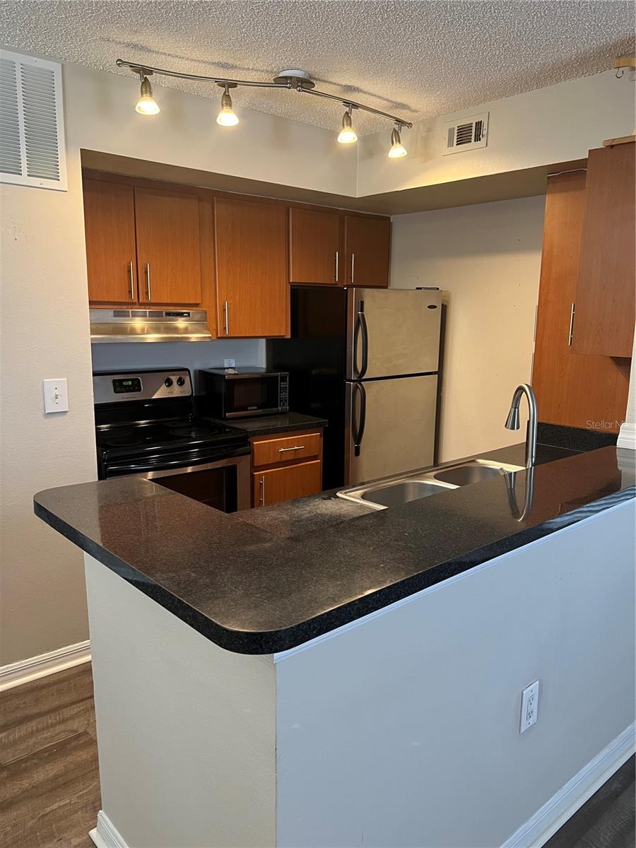 Image 5 of 12 For 429 Fountainhead Circle 221