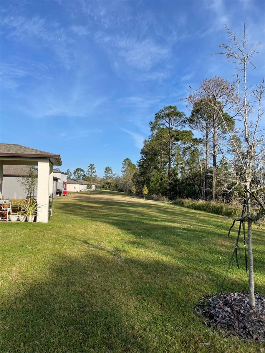 Image 14 of 39 For 17253 Cagan Crossings Boulevard