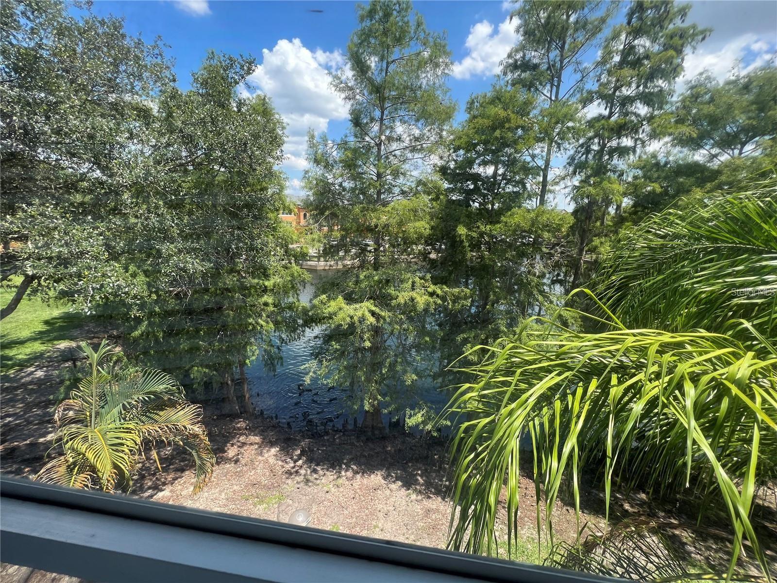 Image 11 of 20 For 4560 Commander Drive 1333