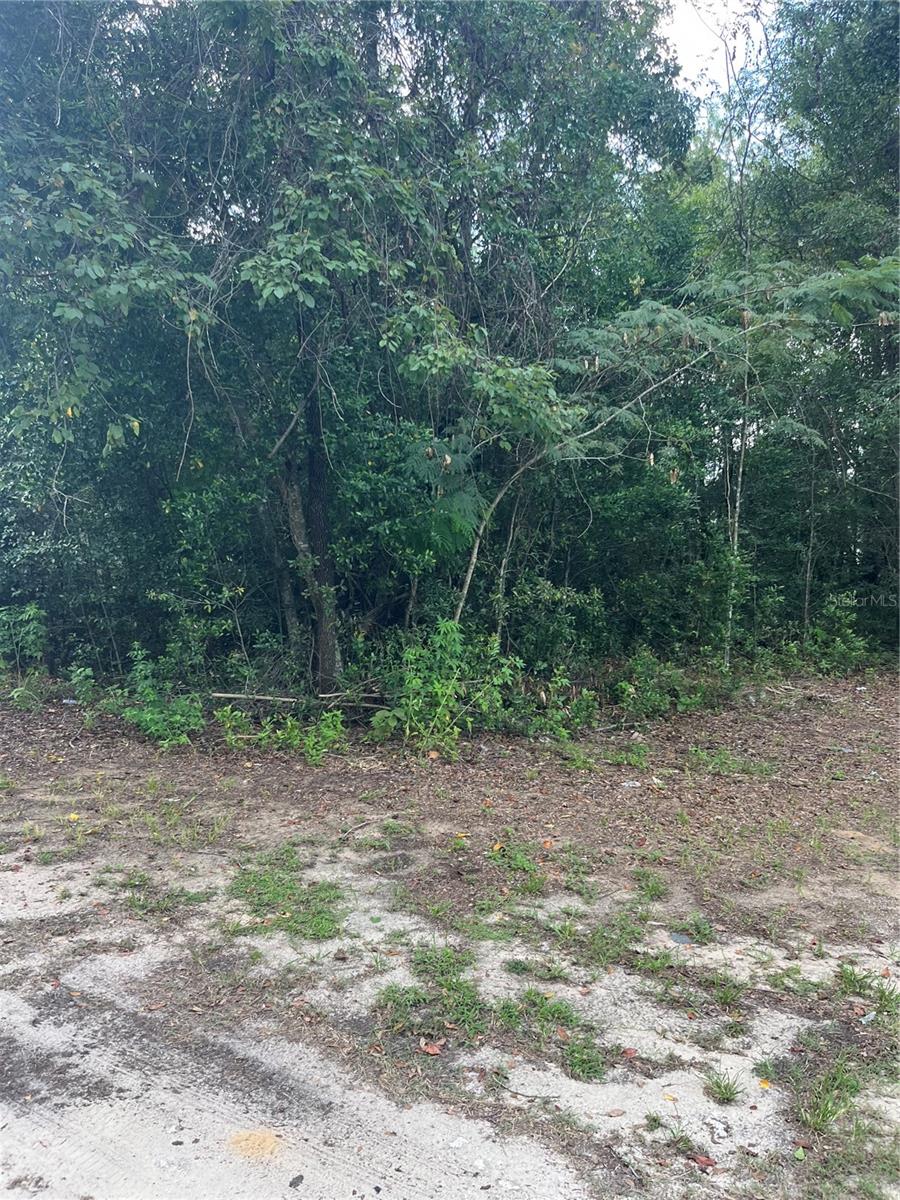 Image 4 of 4 For 0 7th Street