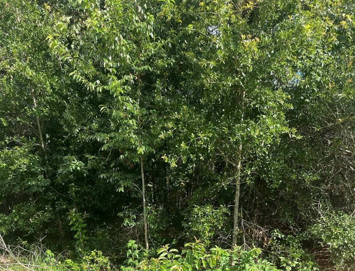 Details for 0 57 Th Avenue, OCALA, FL 34482