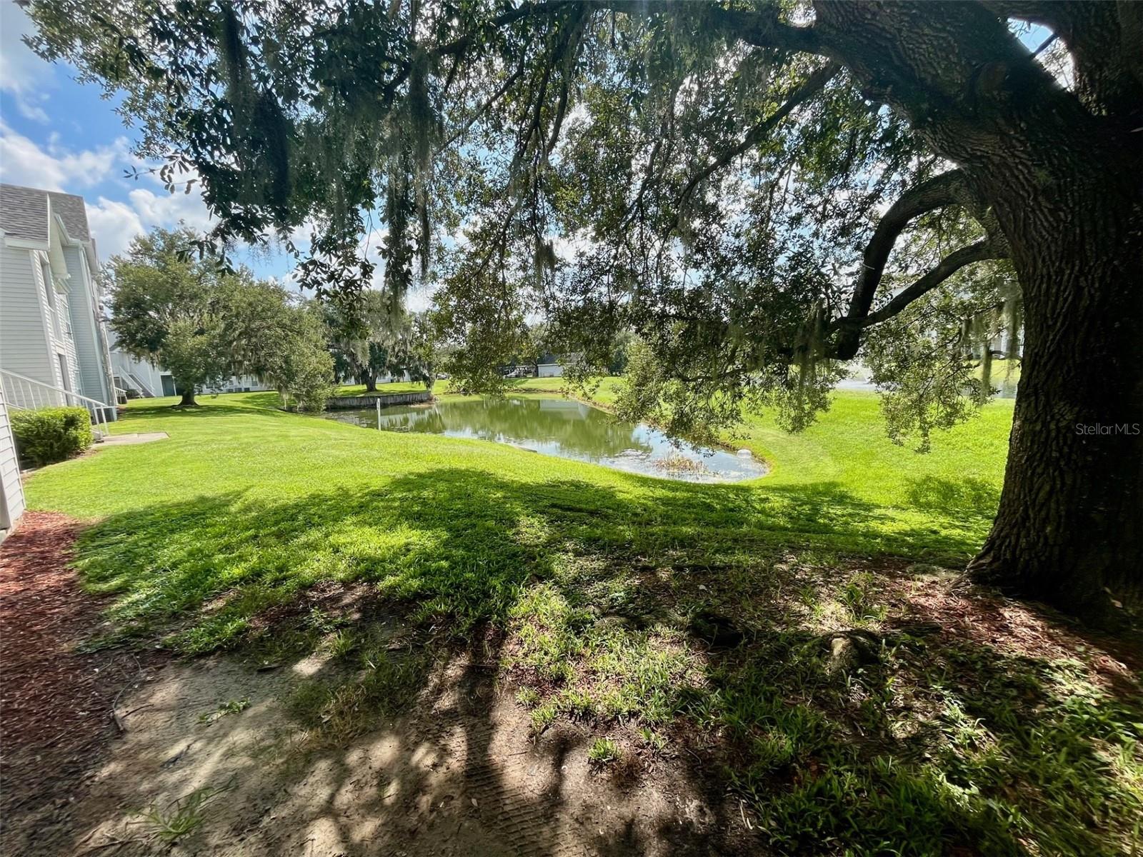 Image 3 of 9 For 1226 Bermuda Lakes Lane 207