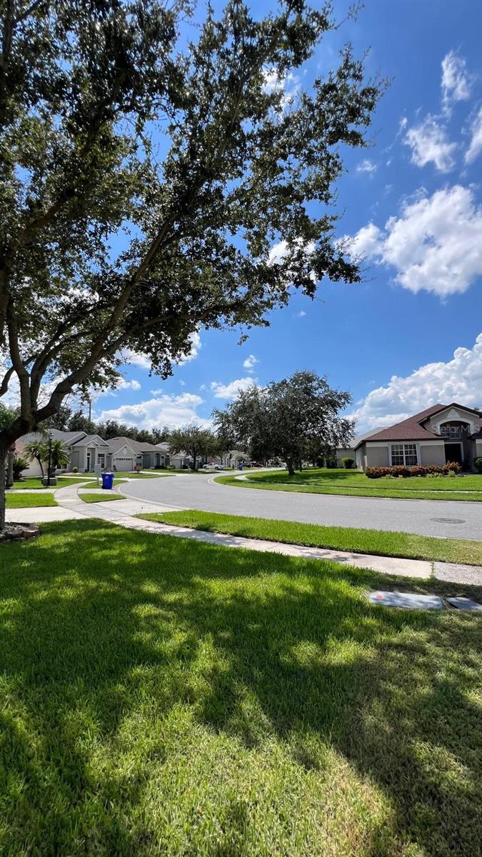 Image 6 of 34 For 2885 Oconnell Drive