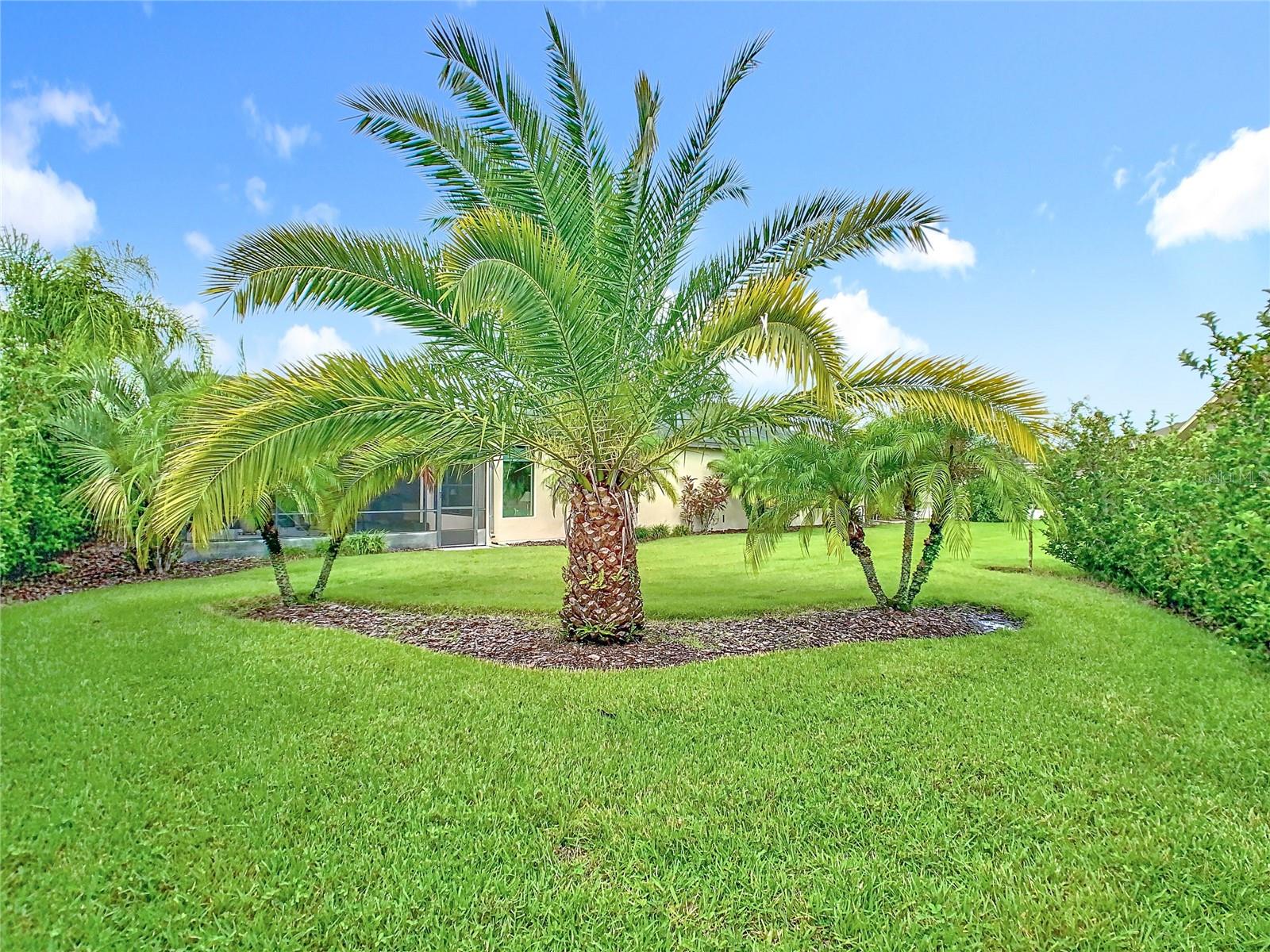 Image 3 of 68 For 314 Montecito Place