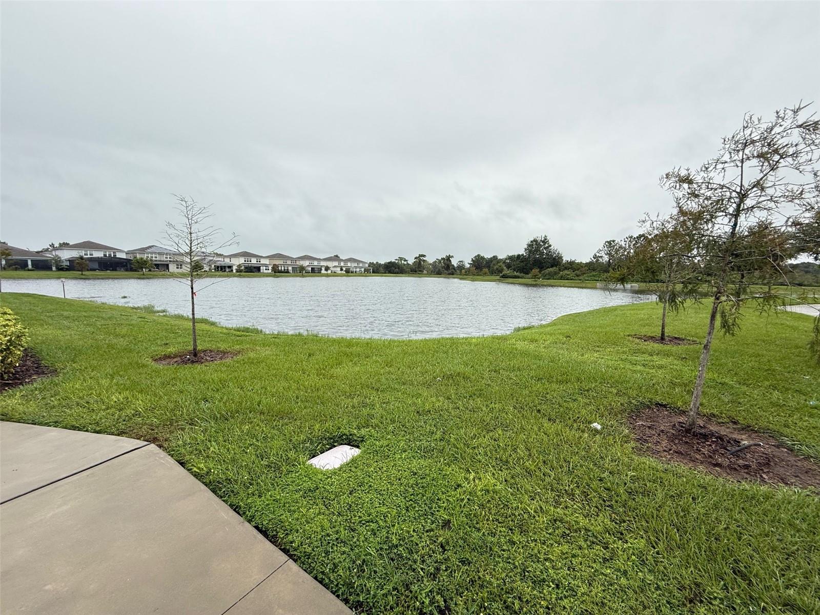 Image 29 of 33 For 5652 Arborvista Drive