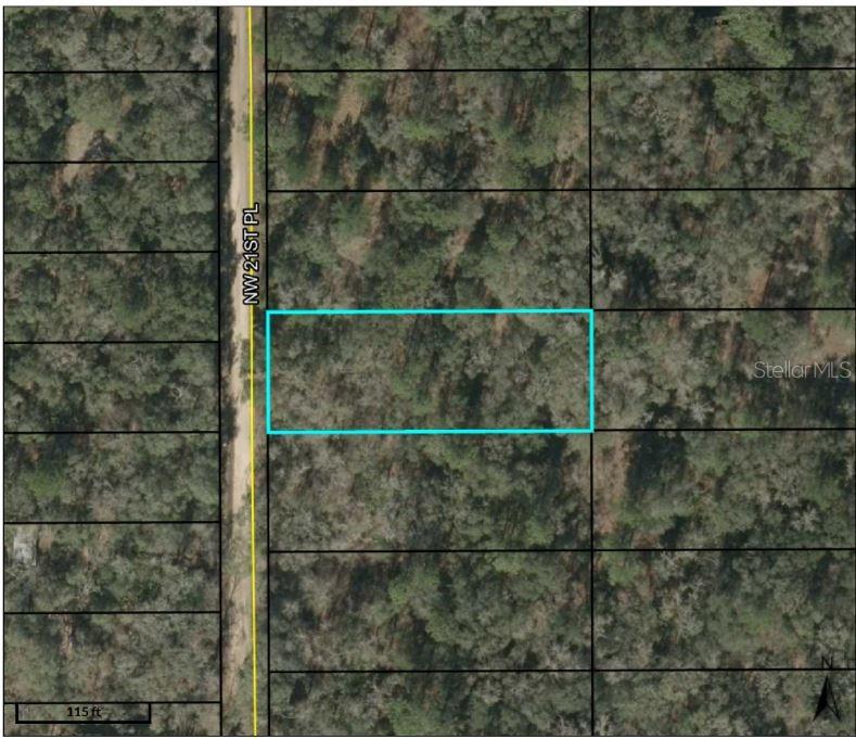 Details for  00  , JASPER, FL 32052