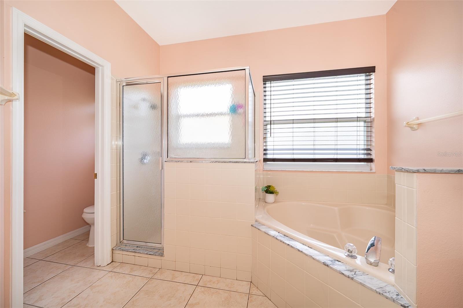 Image 16 of 29 For 5312 Coral Vine Lane