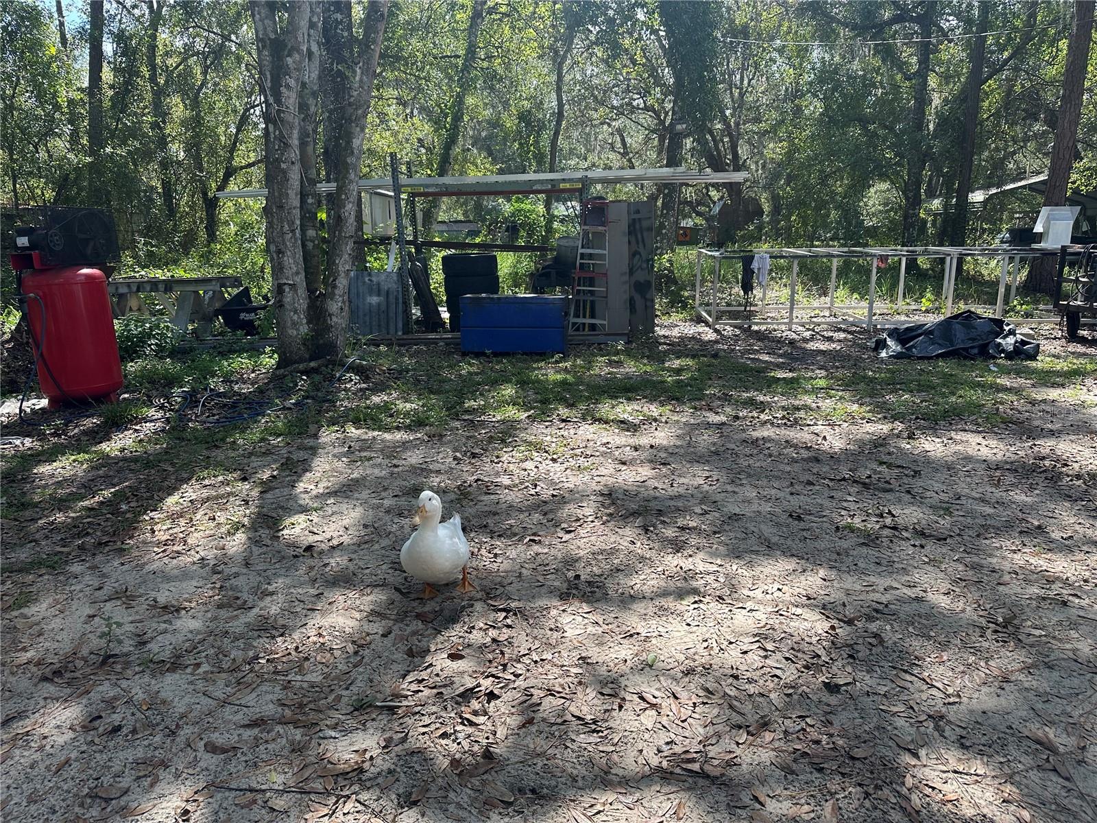 Image 15 of 44 For 11800 State Road 60 E