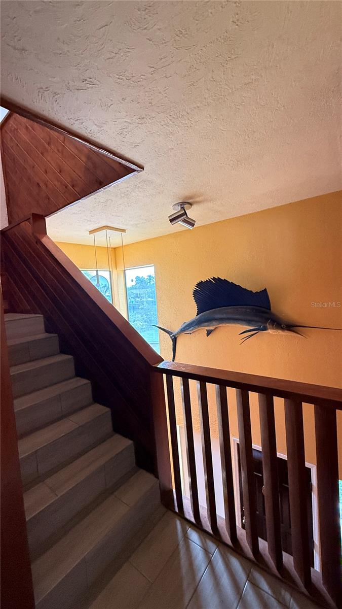 Image 6 of 59 For 3104 Maritana Drive