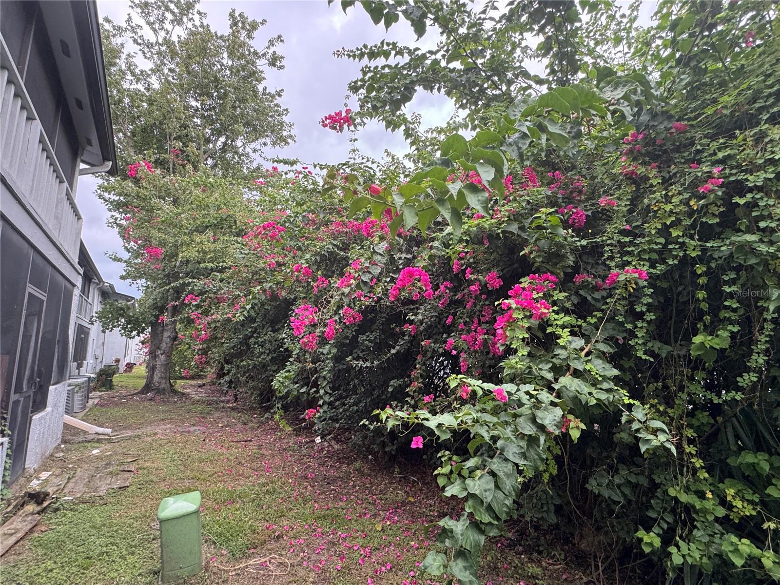 Image 25 of 28 For 4745 Texas Avenue 4745b