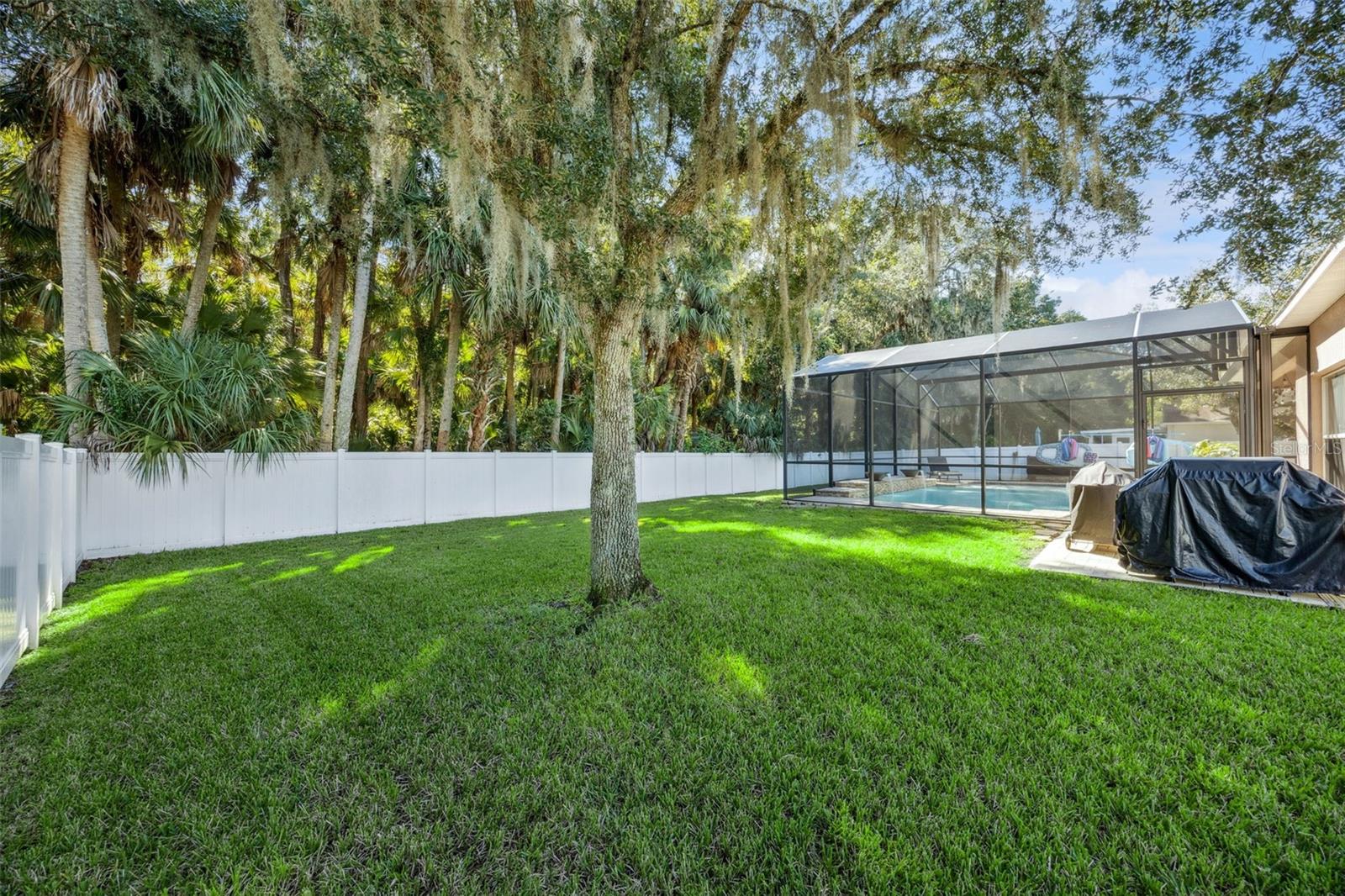 Image 47 of 54 For 1593 Silk Tree Circle