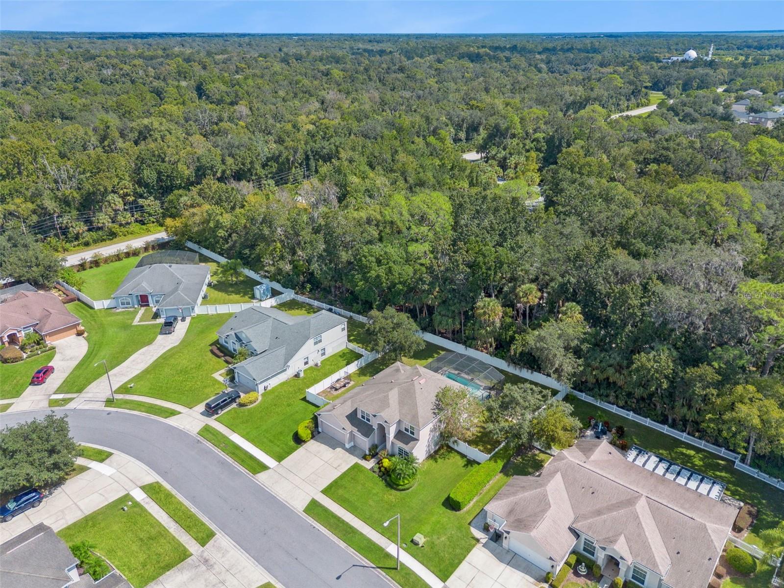 Image 6 of 54 For 1593 Silk Tree Circle