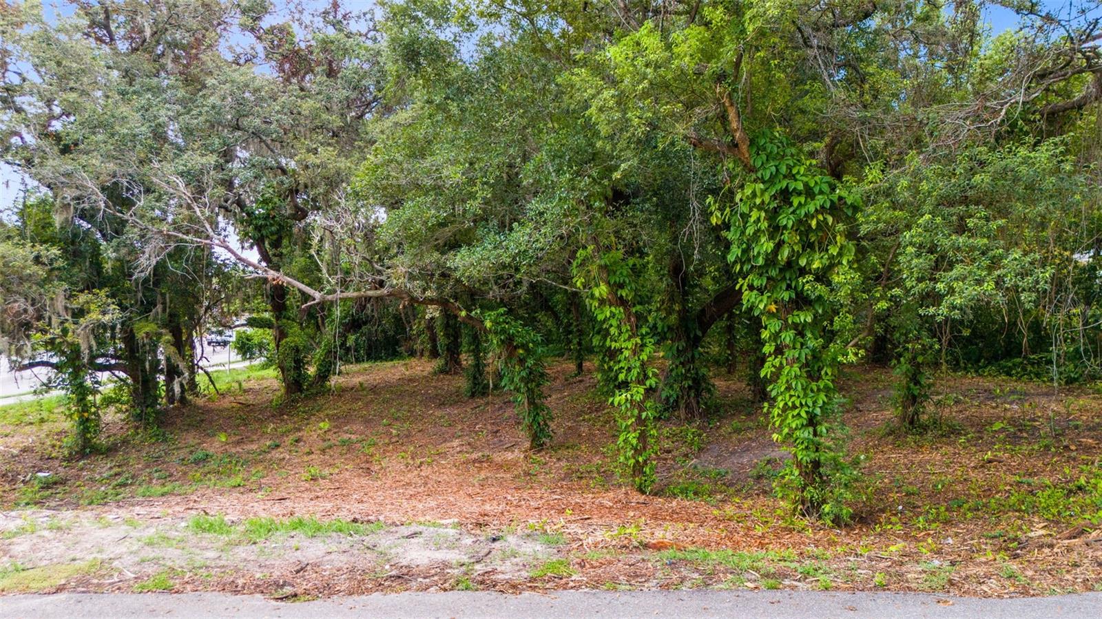 Image 7 of 7 For 431 Hiawassee Road
