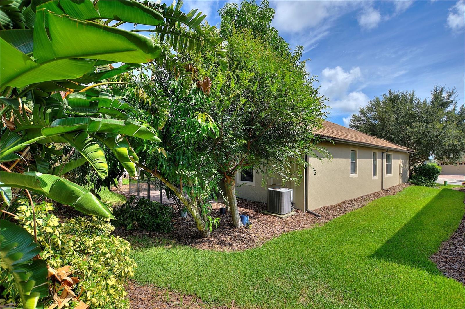 Image 38 of 60 For 1386 Palmetto Dunes Street