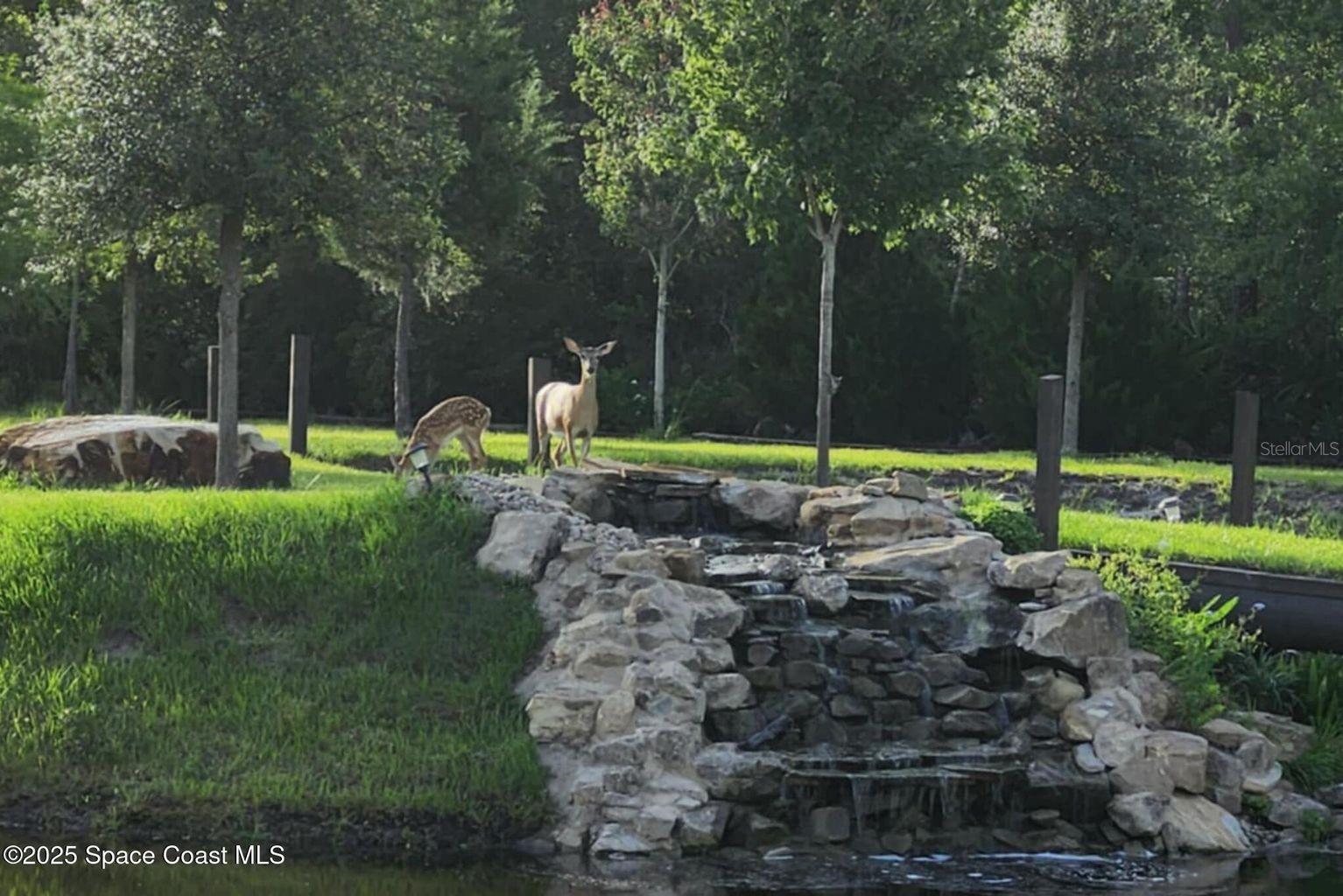 Image 22 of 38 For 7330 Crabgrass Road