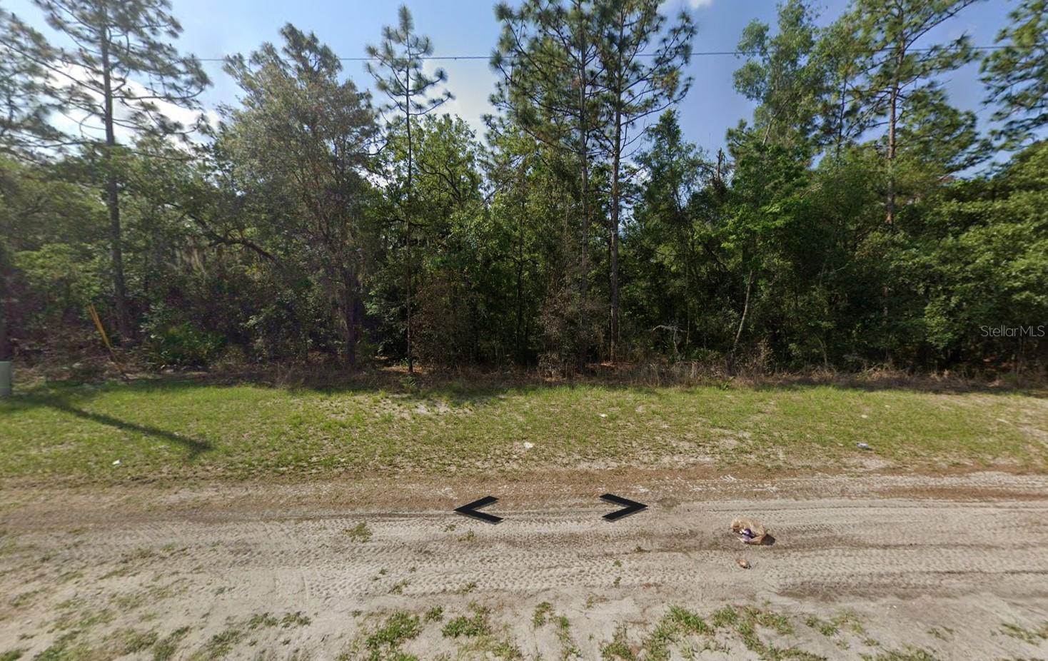 Listing Details for 77th Ave Road, OCALA, FL 34481