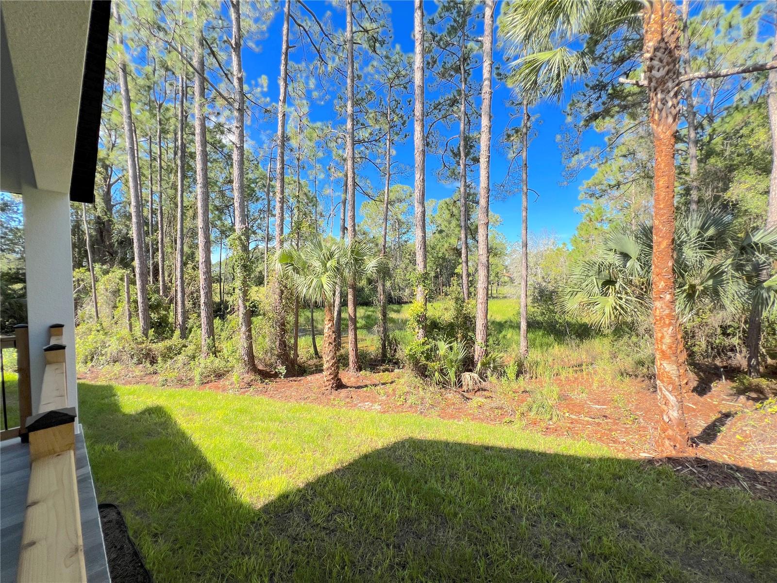 Image 42 of 46 For 140 Mitnik Drive