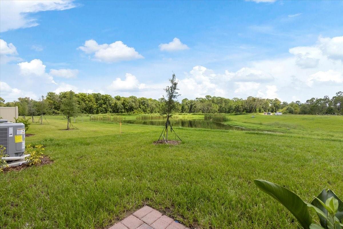 Image 7 of 35 For 726 Legacy Drive