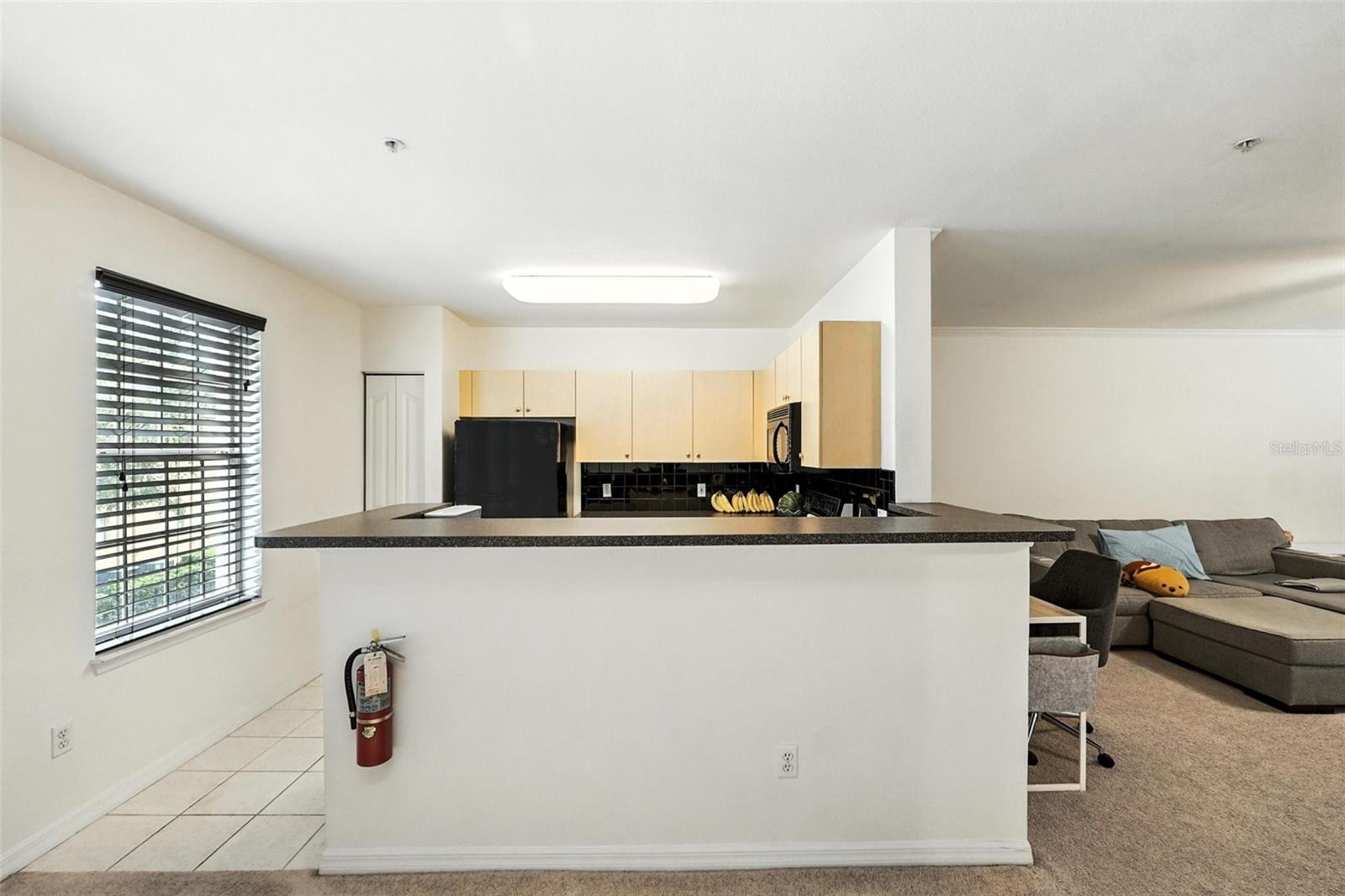 Image 11 of 35 For 742 Centervale Drive 742
