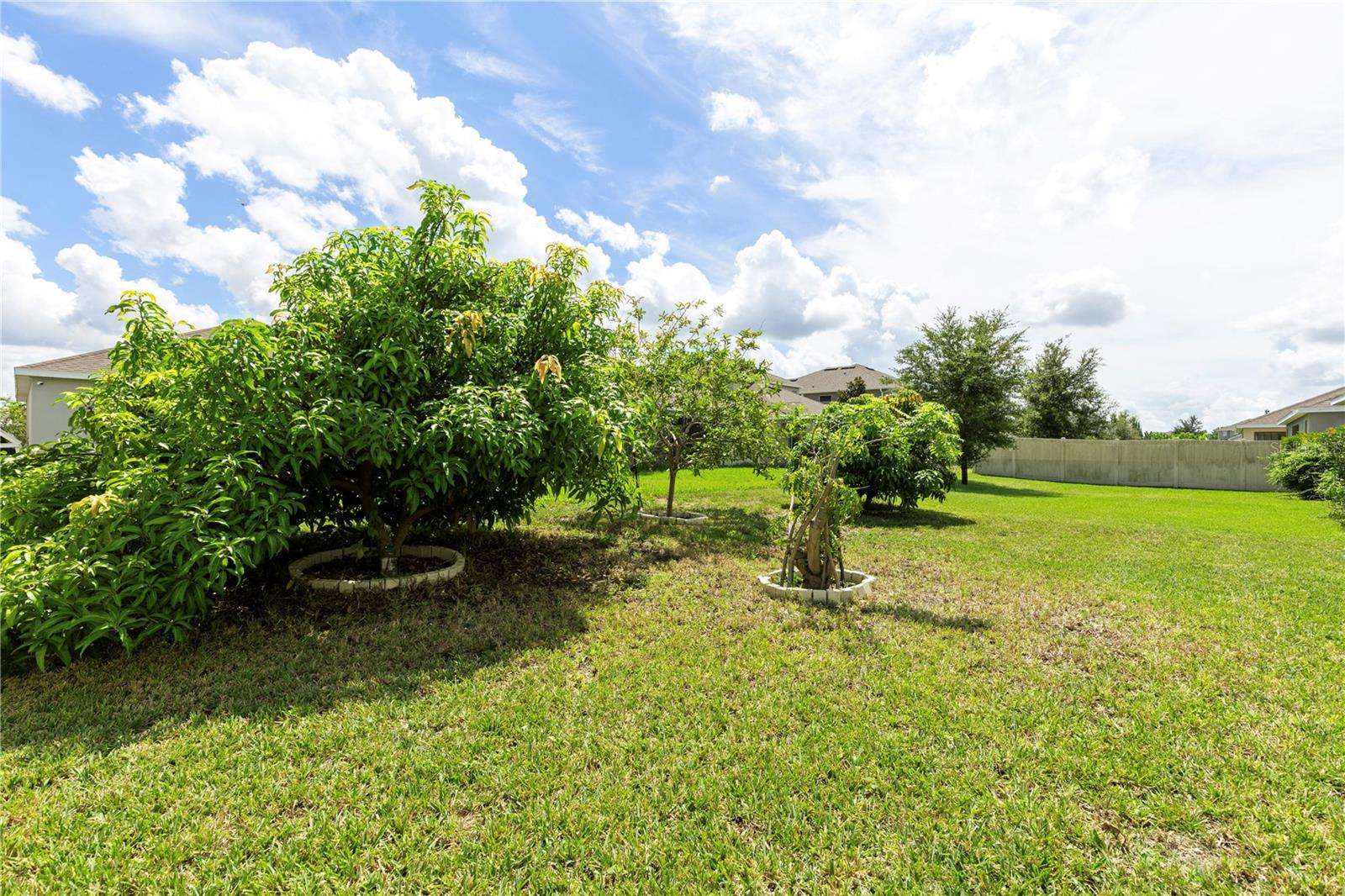 Image 44 of 57 For 240 Trinity Ridge Circle