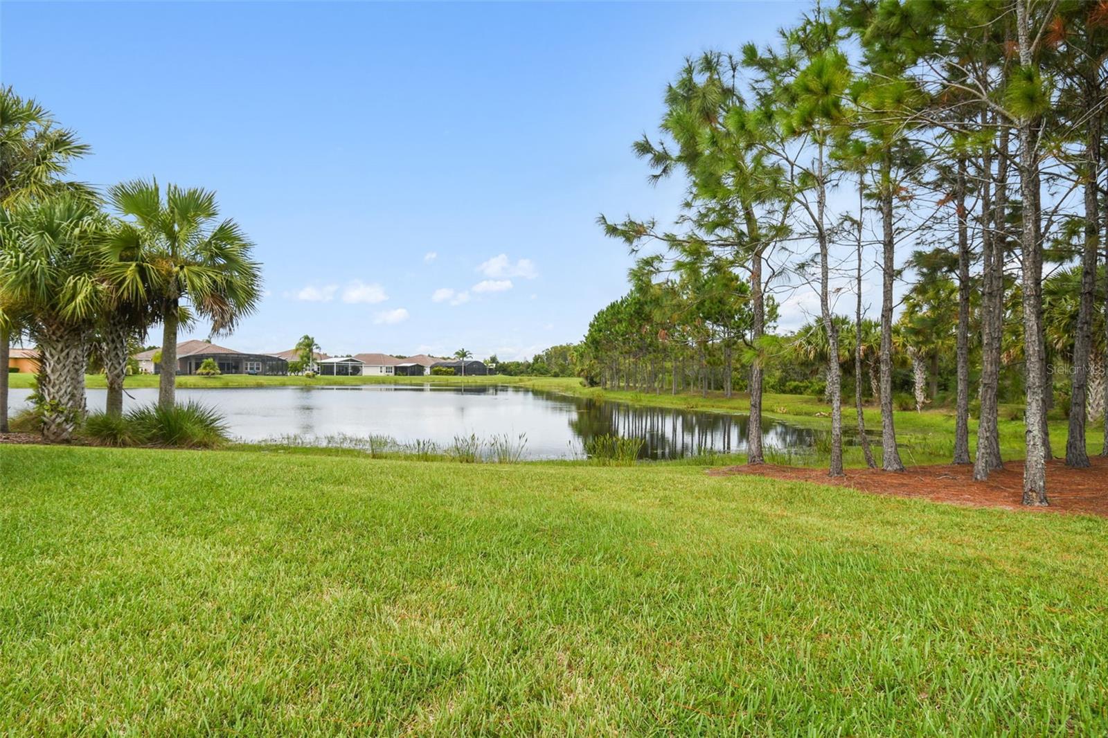 Image 48 of 65 For 519 Tapatio Lane
