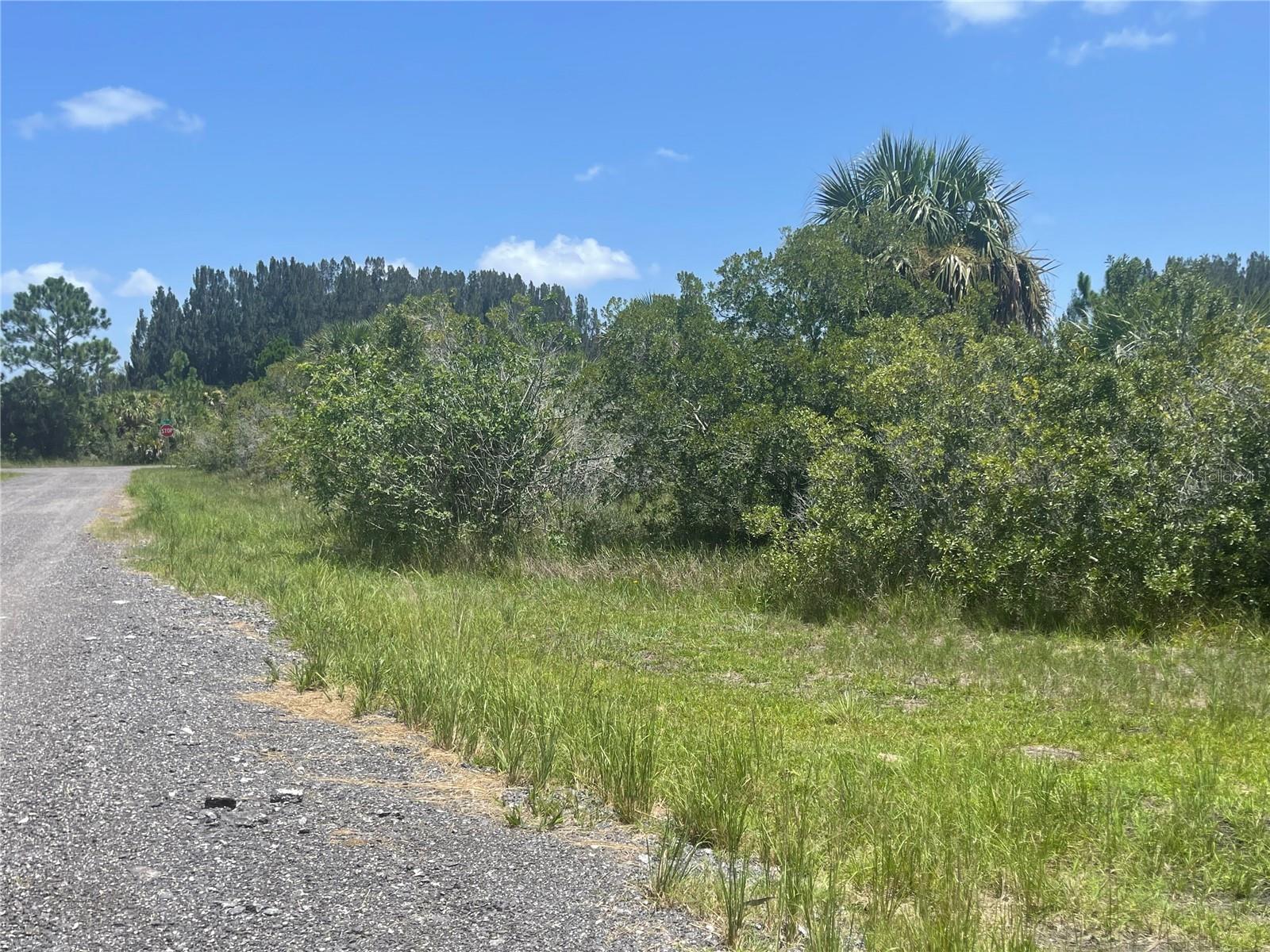 Image 6 of 18 For  Tbd  