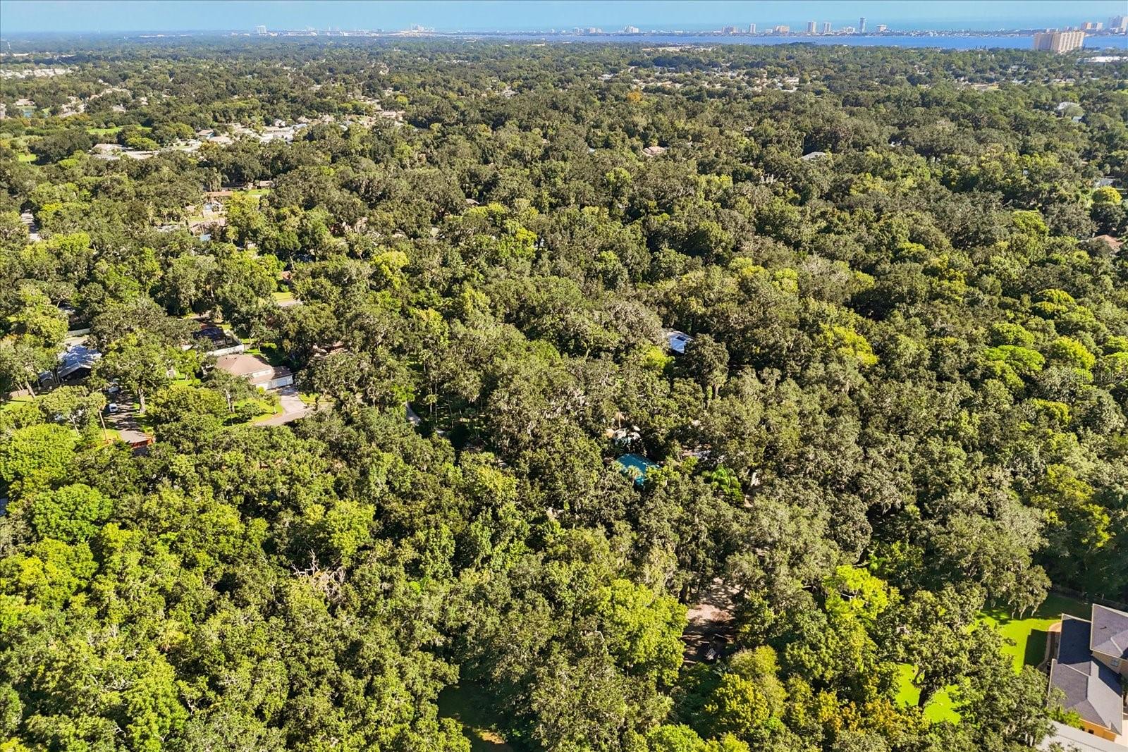 Image 7 of 32 For 895 Nixon Lane