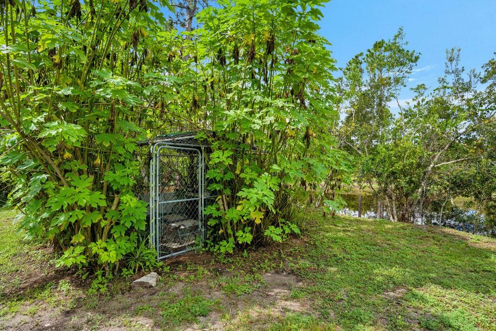 Listing photo id 24 for 4730 Cypress Creek Ranch Road