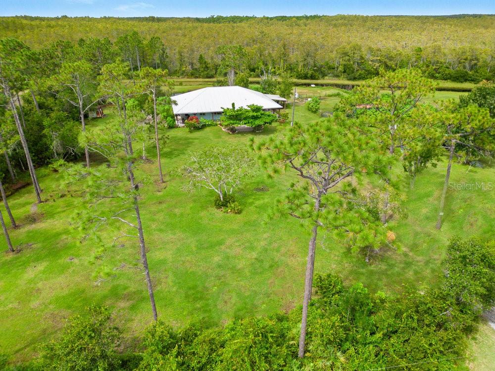 Listing photo id 30 for 4730 Cypress Creek Ranch Road