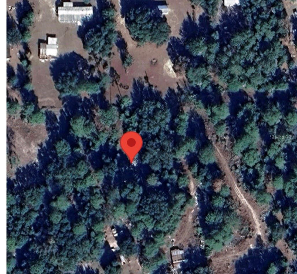 Listing Details for 330 Beecher Springs Rd, WELAKA, FL 32193
