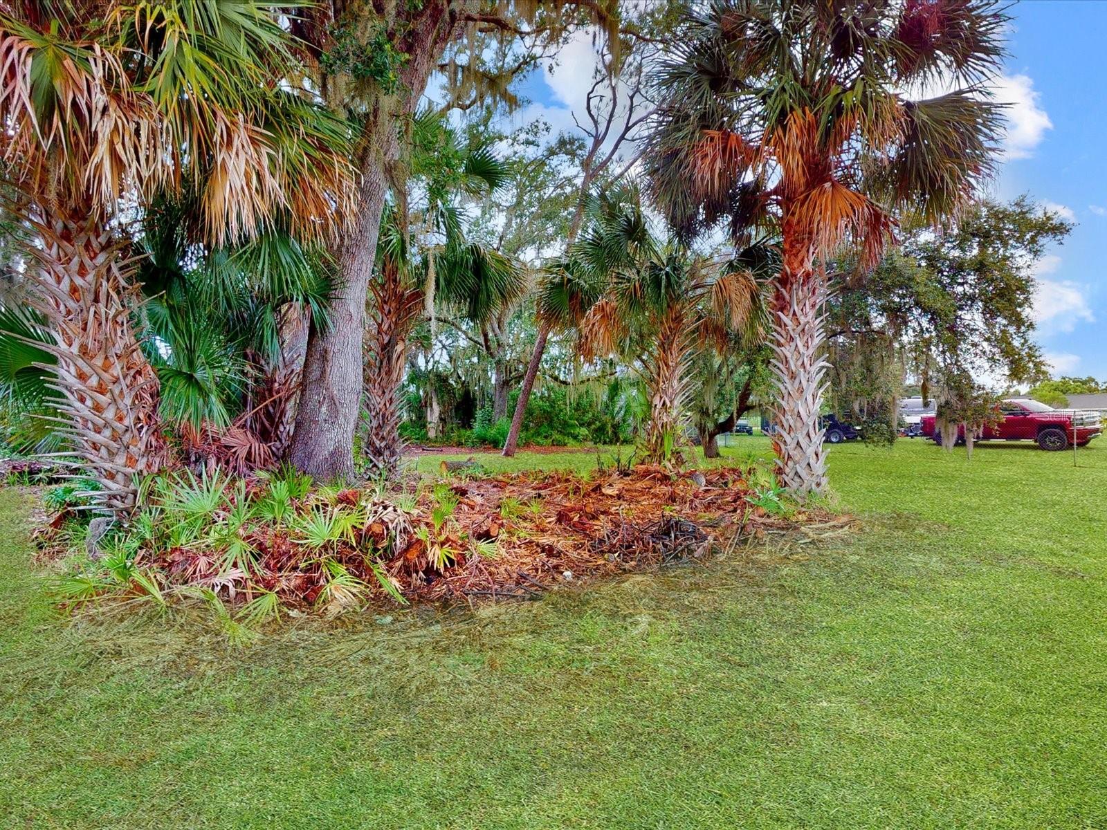 Image 29 of 44 For 1710 Big Oak Lane