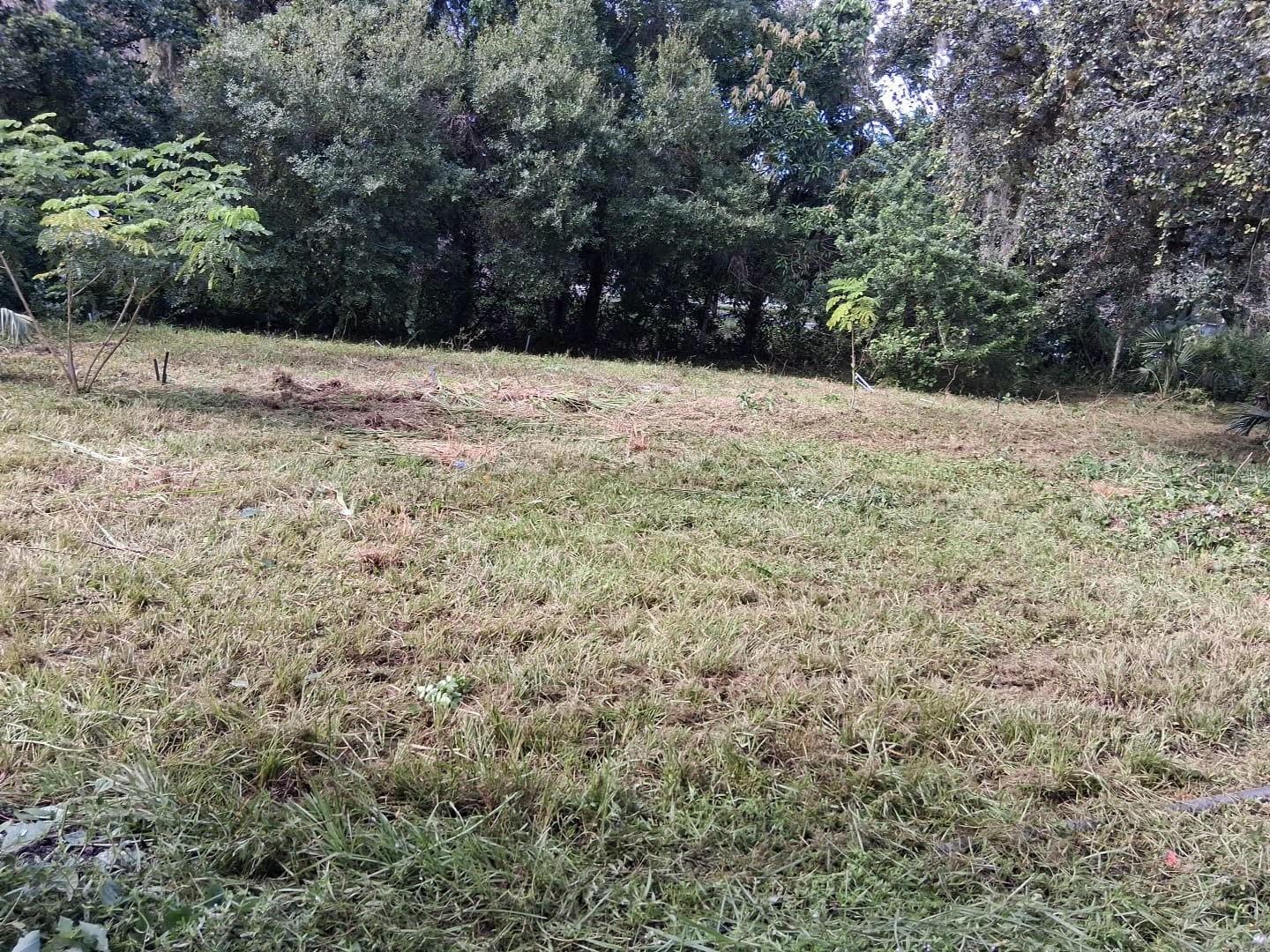 Image 7 of 7 For 851 Caloosahatchee Avenue 3