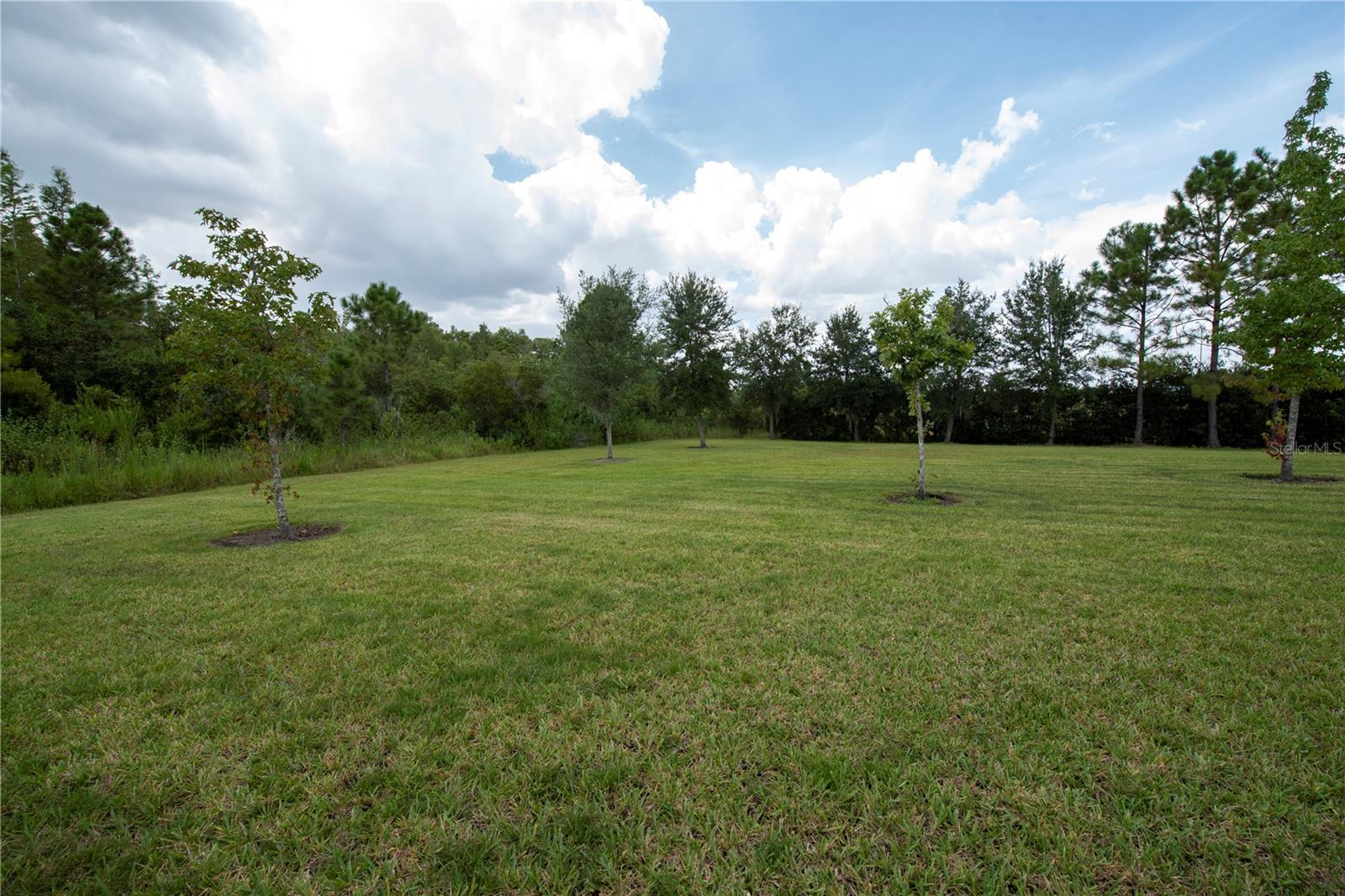 Image 36 of 39 For 1467 Portofino Meadows Boulevard