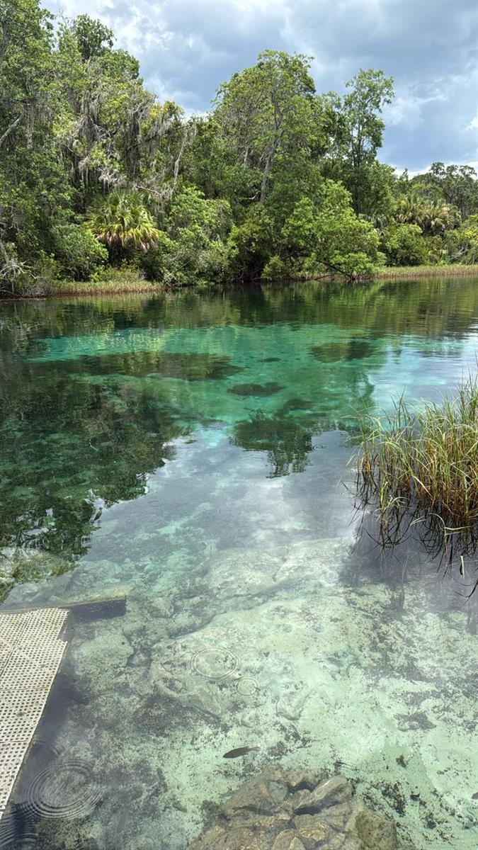 Image 49 of 52 For 8969 Candleglow Street