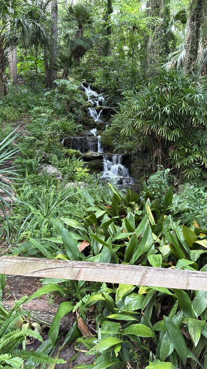 Image 51 of 52 For 8969 Candleglow Street