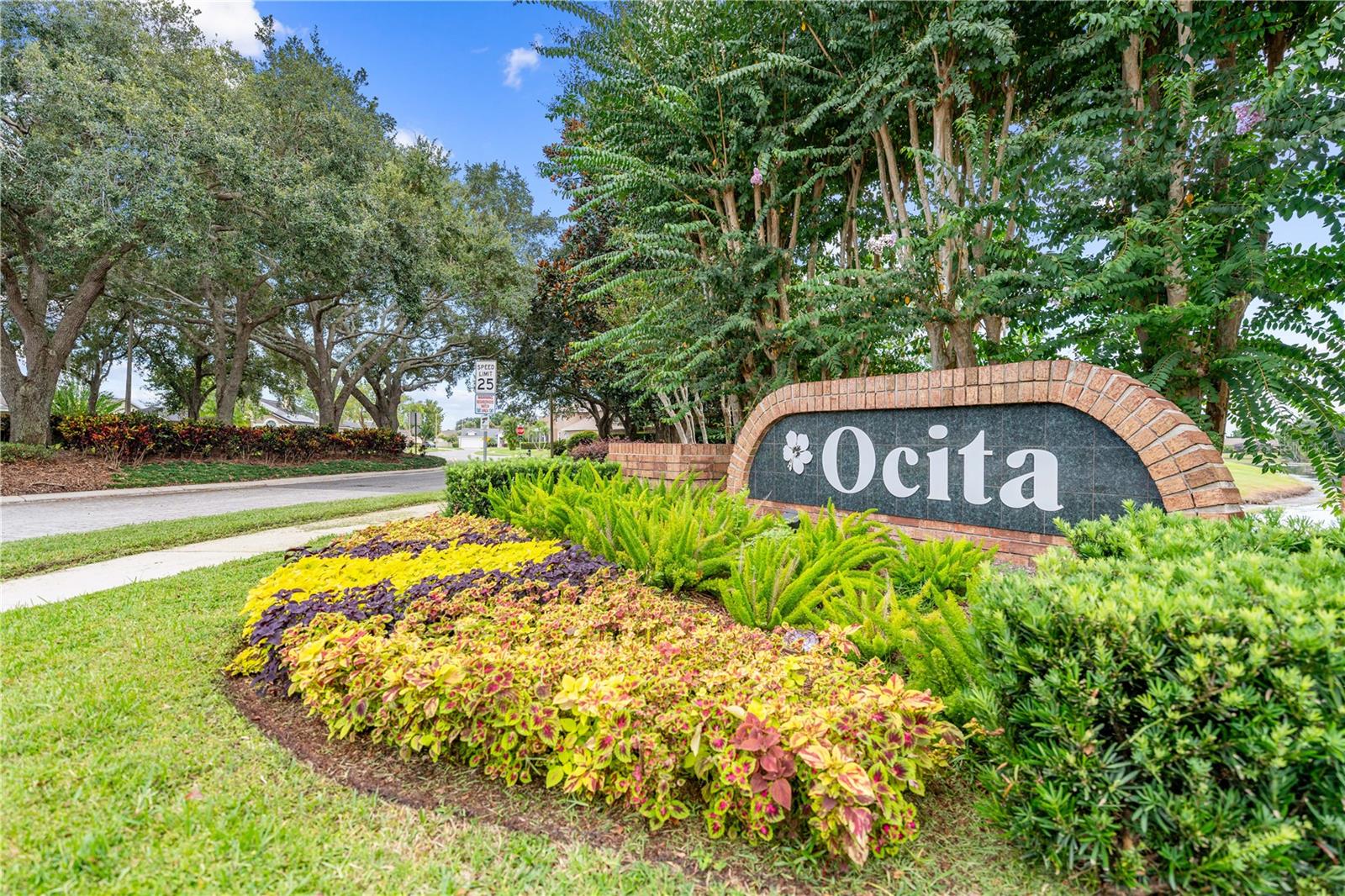 Image 67 of 69 For 3509 Molona Drive