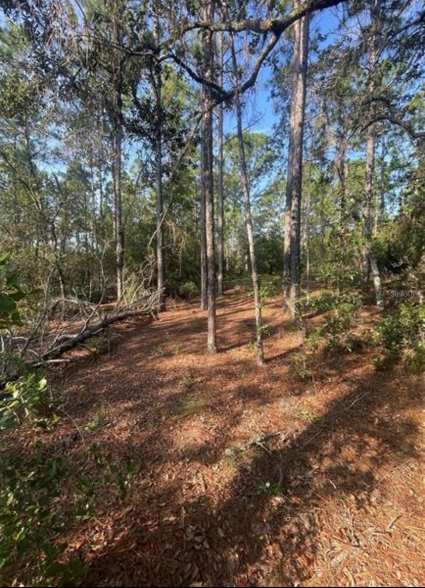 Image 3 of 6 For 3690 Norwick Place