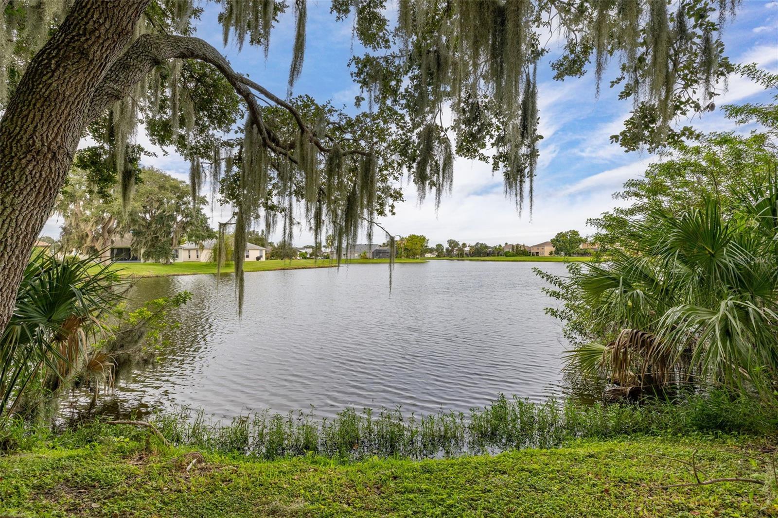 Image 47 of 84 For 2172 The Oaks Boulevard