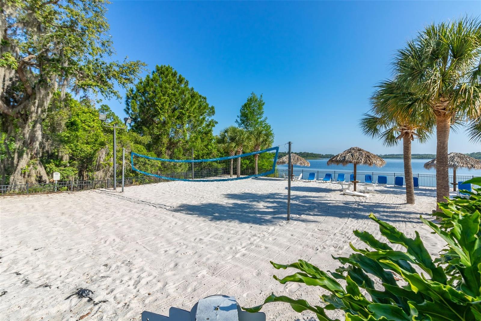 Image 53 of 100 For 515 Rum Run 515