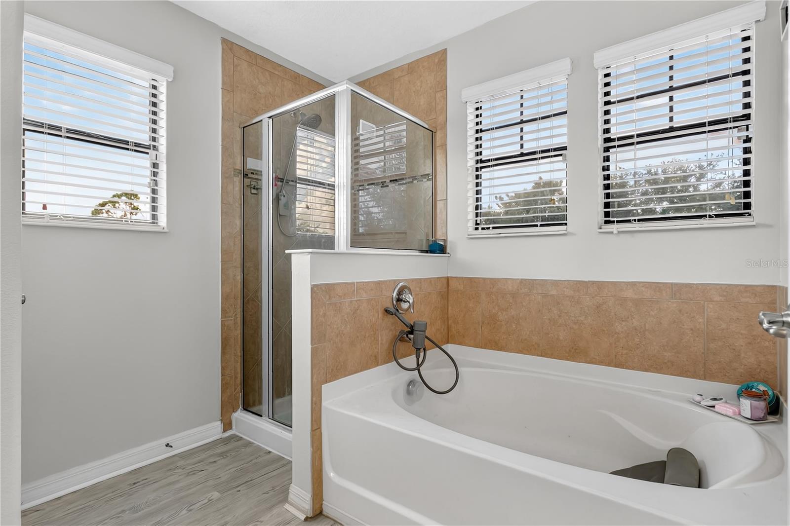 Image 15 of 32 For 2020 Fishtail Fern Way