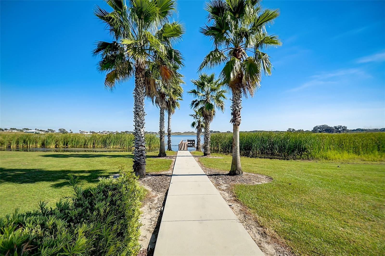 Image 31 of 43 For 804 Waterfern Trail Drive