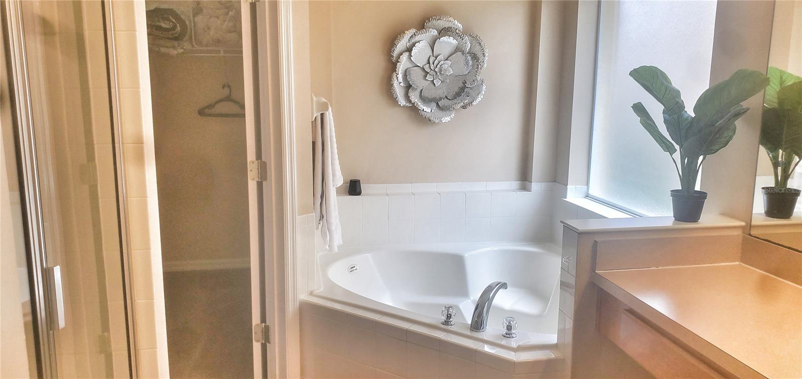 Image 11 of 25 For 525 Paloma Drive