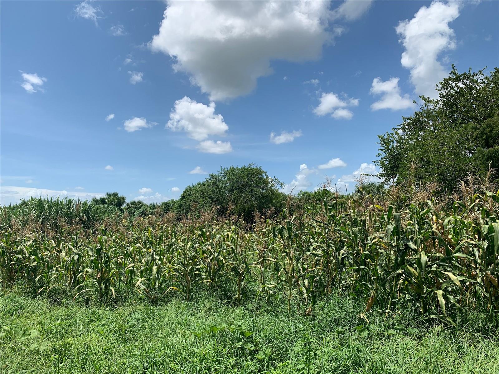 Image 8 of 10 For 14455 State Road 78